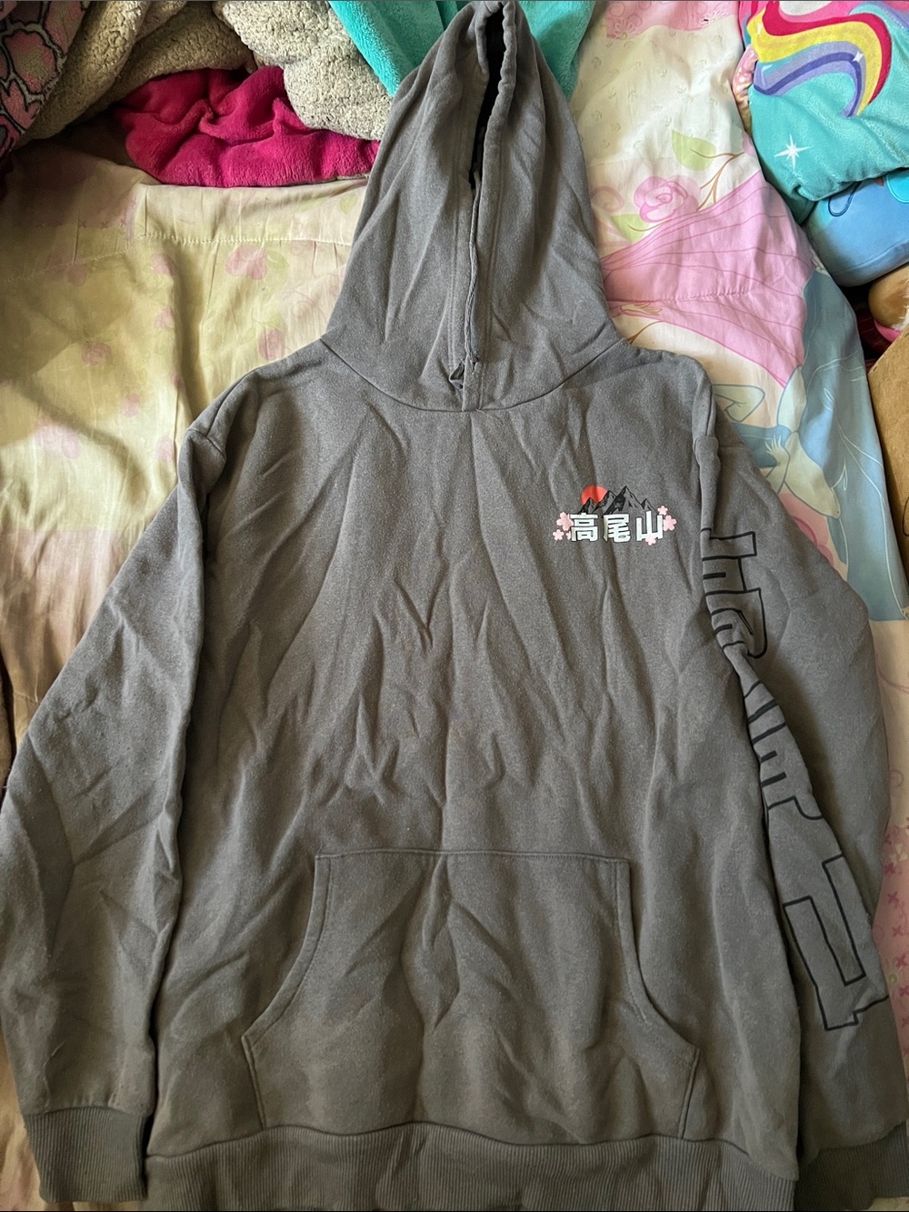 Sanctuary Gray Plush-Lined Hoodie with Branded Tag